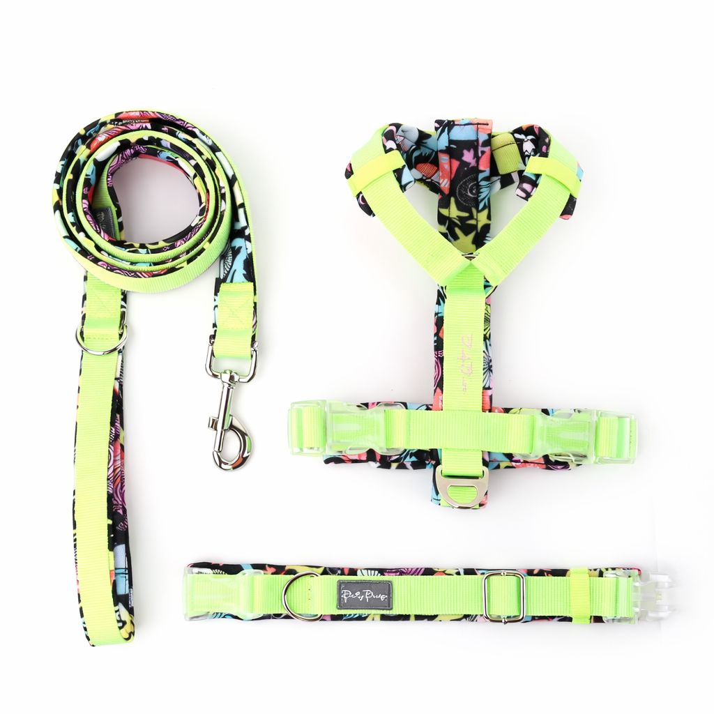 Complete Harness Sets - 4th July