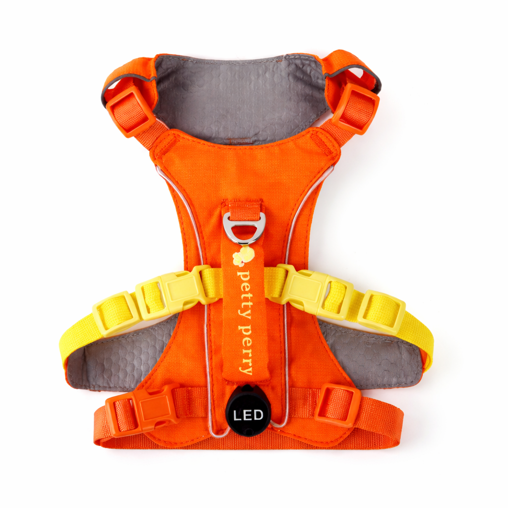 Life Preserver Harness LED Light - Orange