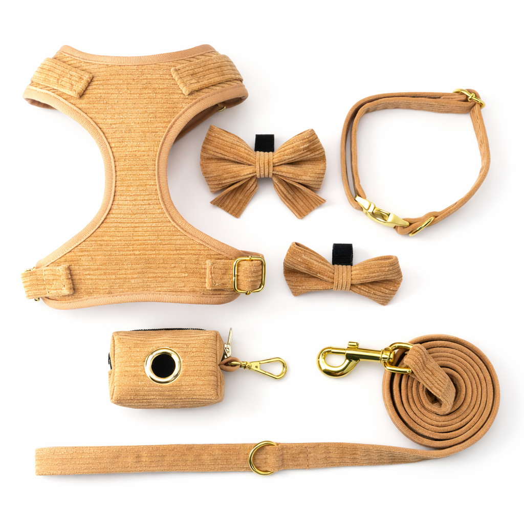 Corduroy Dog Harness Set - Gold