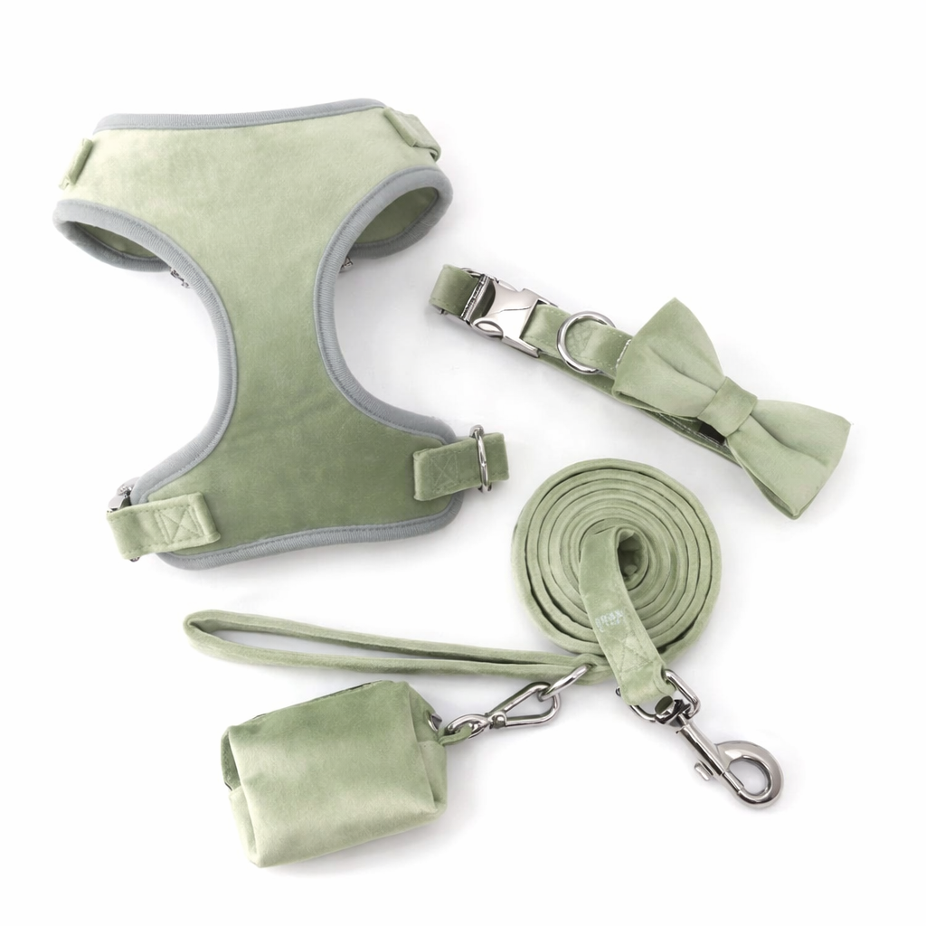 Luxury Velvet Dog Harness Full Set - Mint