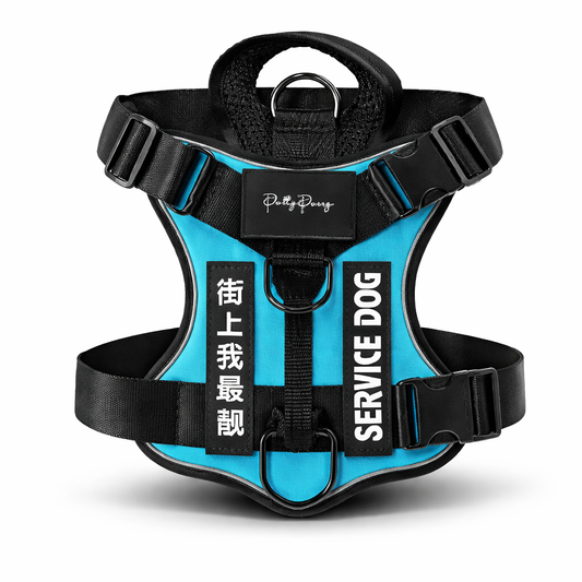 Nylon Double Strength Dog Harness - Service