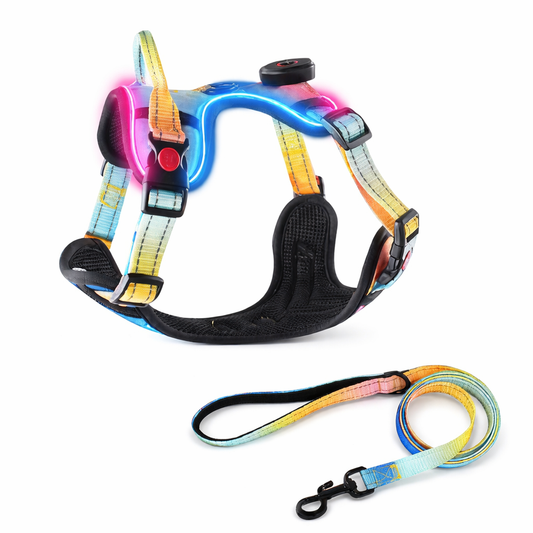 Nylon Double Strength Dog Harness - LED