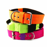Heavy Duty Collar - Nylon - Neon
