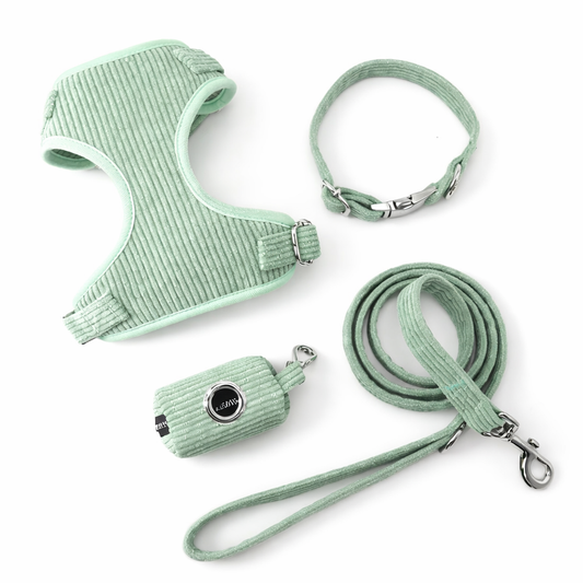 Corduroy Dog Harness & Leash- Mint Green