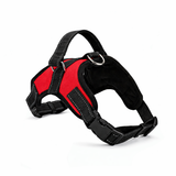 Nylon Double Strength Dog Harness - Carrier