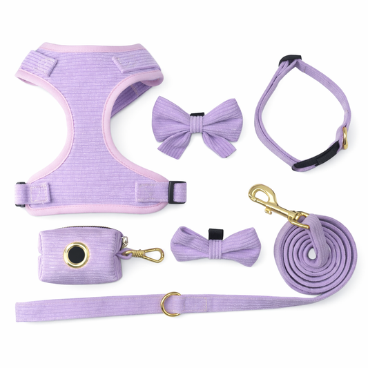 Corduroy Dog Harness Set - Purple