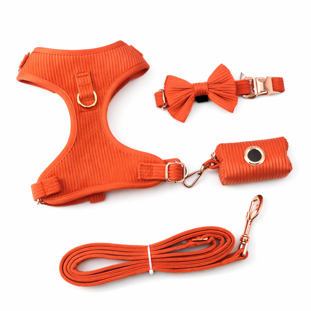 Corduroy Dog Harness Set - Orange