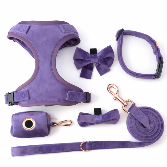 Luxury Velvet Dog Harness Full Set - Purple