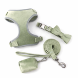 Luxury Velvet Dog Harness Full Set - Mint